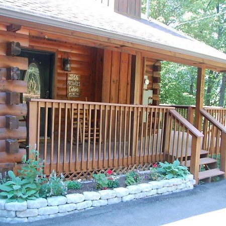 His Promises Cabin Pigeon Forge Exterior photo